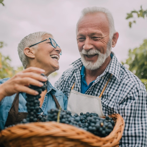 Common Hearing Loss Misconceptions